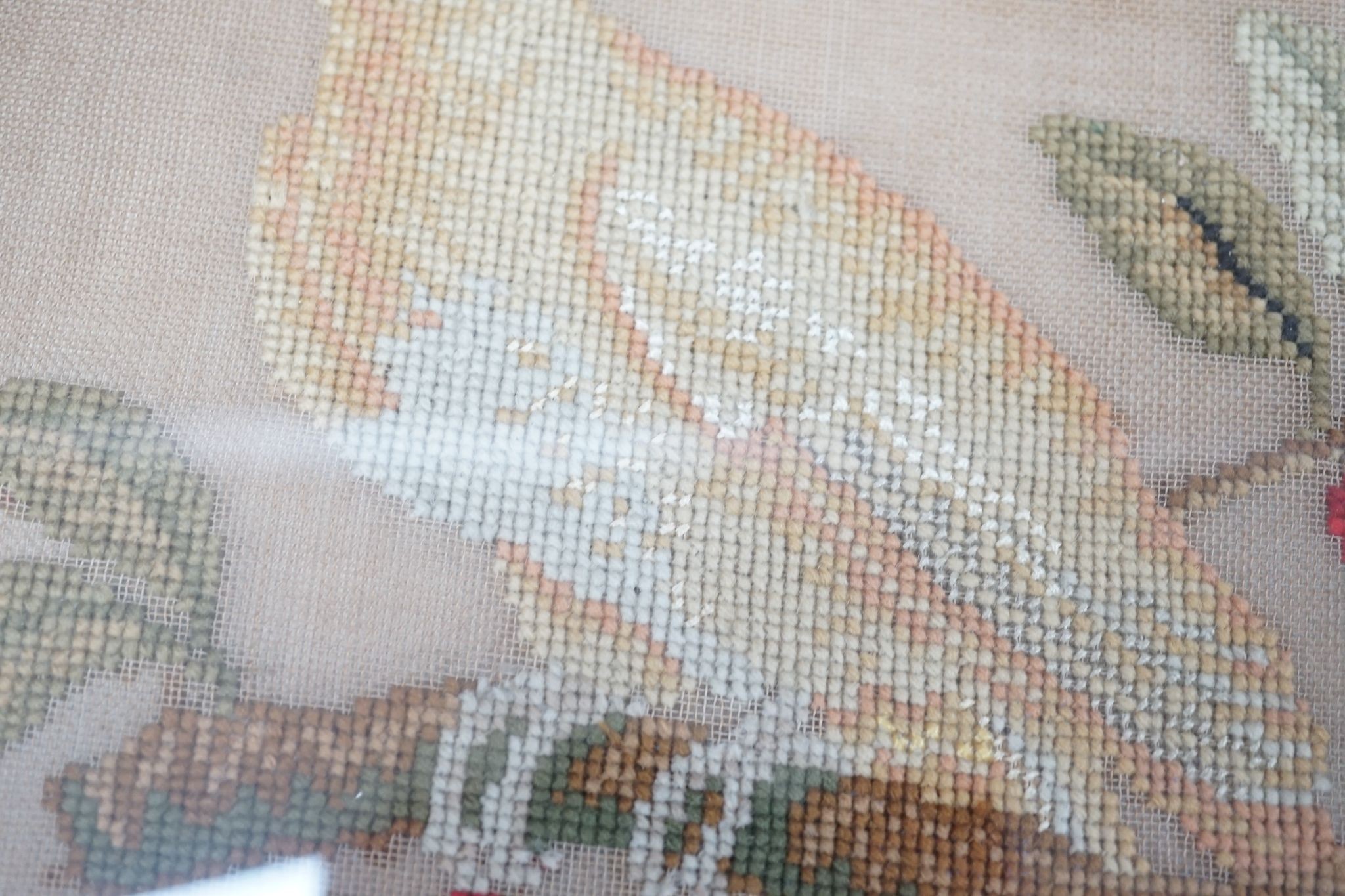 A pair of 19th century giltwood framed circular needleworks of parrots, 26cm diameter excl frame